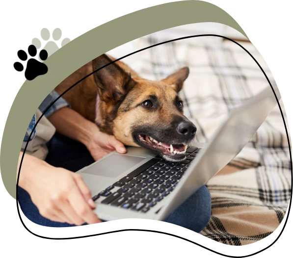 pies przy laptopie